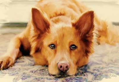 Creative Photo Effects in Adobe Photoshop