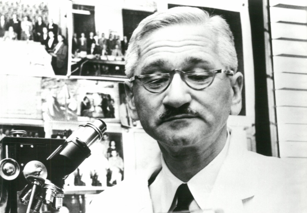 Dr. Albert B. Sabin in his laboratory.
