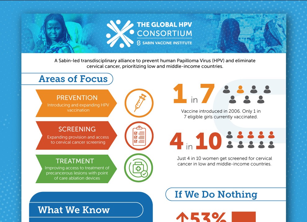 HPV factsheet preview