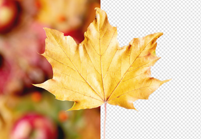 How to remove a background in Affinity Designer