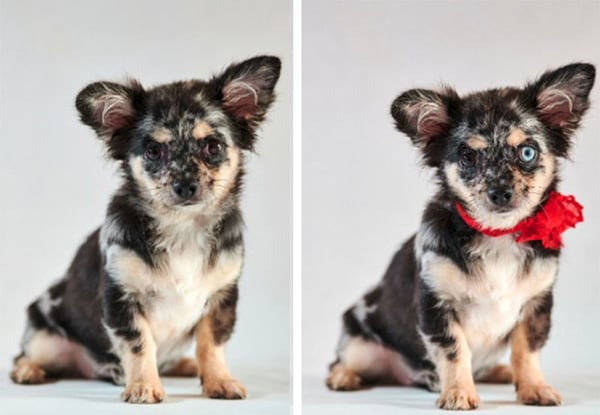 How to edit images with AI ImageEdit