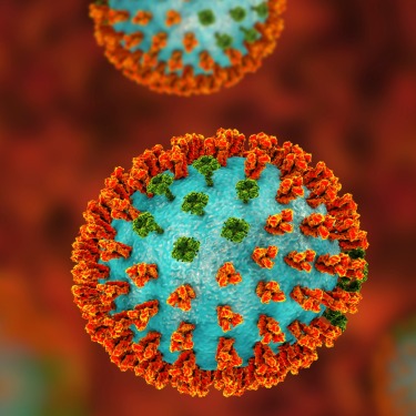 influenza-virus-model