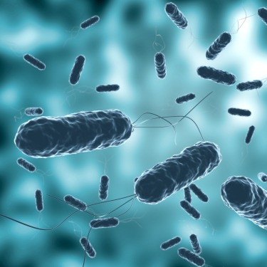 Cholera under a microscope