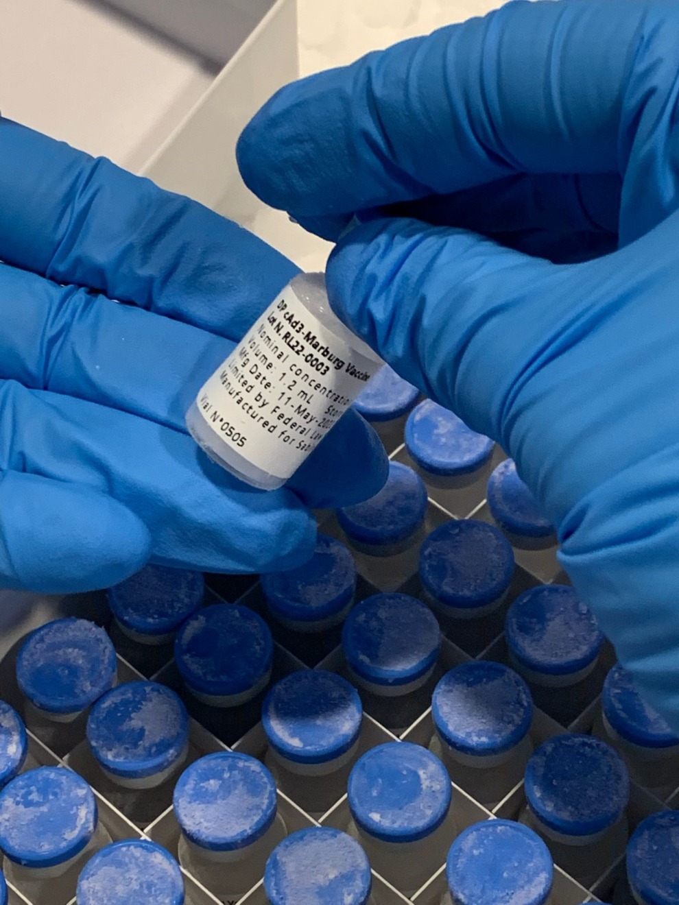 Gloved hands holding a vaccine vial.
