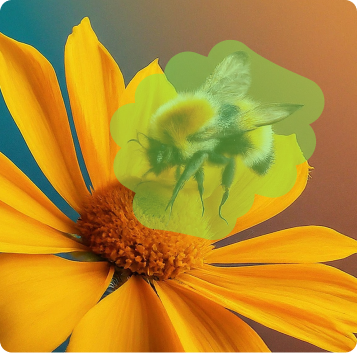 Image of Envato ImageEdit